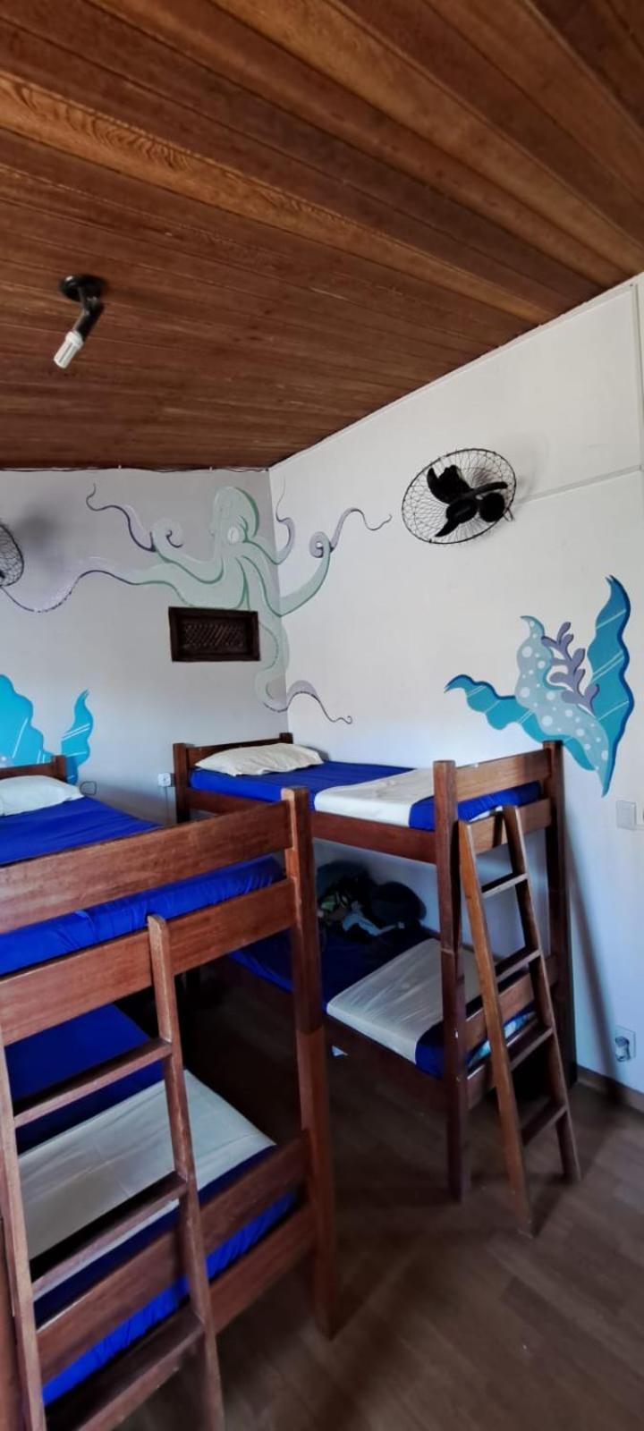 Hostel Recanto Da Sereia 萨尔瓦多 客房 照片